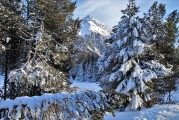 千山暮雪全集，千山暮雪全集免费高清在线观看