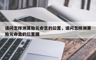 请问怎样测算胎元命宫的位置，请问怎样测算胎元命宫的位置图