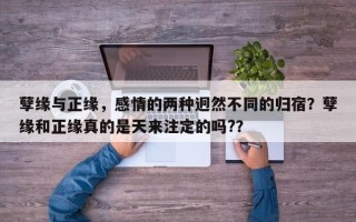孽缘与正缘，感情的两种迥然不同的归宿？孽缘和正缘真的是天来注定的吗?？