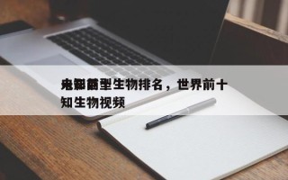 电影前十
未知巨型生物排名，世界前十
未知生物视频