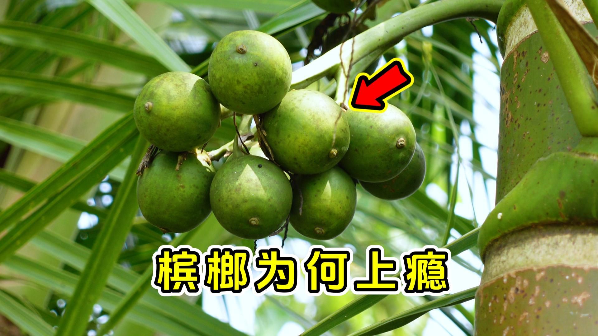 画皮之真爱无悔电视剧免费观看|画皮之真爱无悔在线观看完整版 画皮之真爱无悔电视剧免费观看|画皮之真爱无悔在线观看完整版