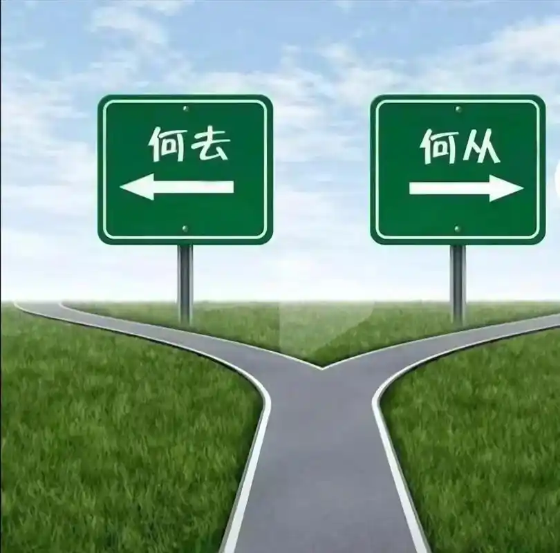 1000003716.webp 1000003716.webp