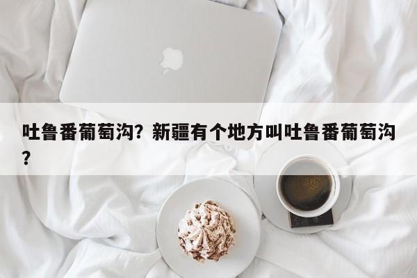 吐鲁番葡萄沟？新疆有个地方叫吐鲁番葡萄沟？-第1张图片