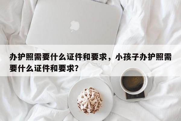 办护照需要什么证件和要求，小孩子办护照需要什么证件和要求？-第1张图片