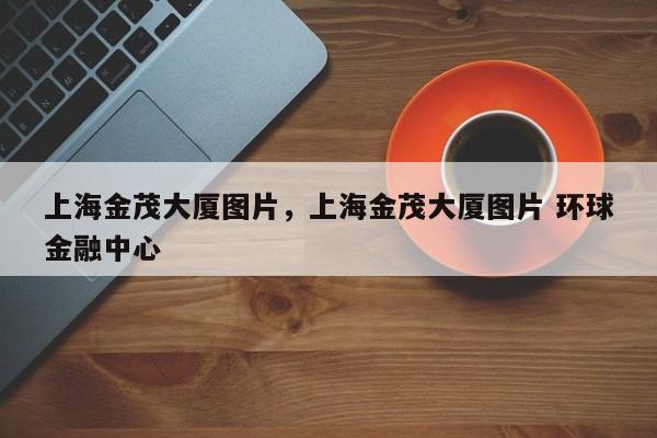 上海金茂大厦图片，上海金茂大厦图片 环球金融中心-第1张图片